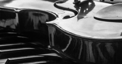 Corse Music Events