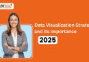 Data Visualization Strategy and its Importance