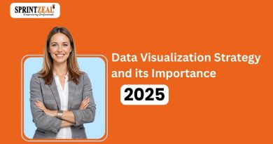Data Visualization Strategy and its Importance