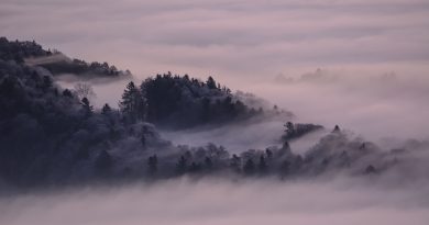 Centre-Val de Loire, Orléans, Tours, Loire river, castle, vineyard, forest, landscape
