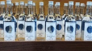 Découverte de l'édition spatiale 2025 de la Belle Cabresse