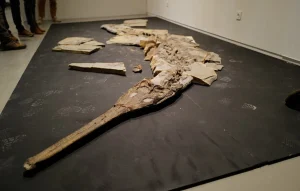 Un parc baptisé Samuel Paty dans la ville où habitait le professeur