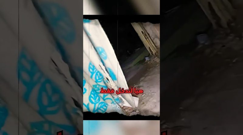 Découvertes insolites des YouTubeurs dans des lieux abandonnés ! 📹