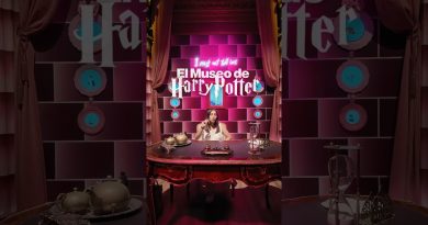 Découvrez le musée Harry Potter qui fait le tour du monde ! 🌍✨