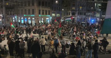 Défilé, sit-in et fumigènes: une manifestation propalestinienne s'est tenue à Genève 