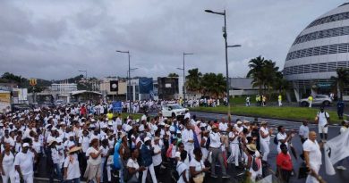 Des centaines de personnes à la Marche blanche contre la violence