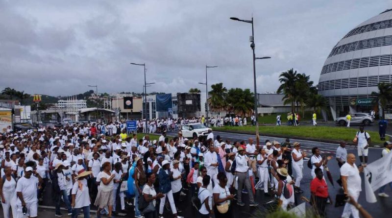 Des centaines de personnes à la Marche blanche contre la violence