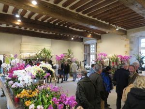 Des orchidées par milliers dans ce château normand