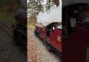 Deux locomotives à vapeur se croisent en pleine action