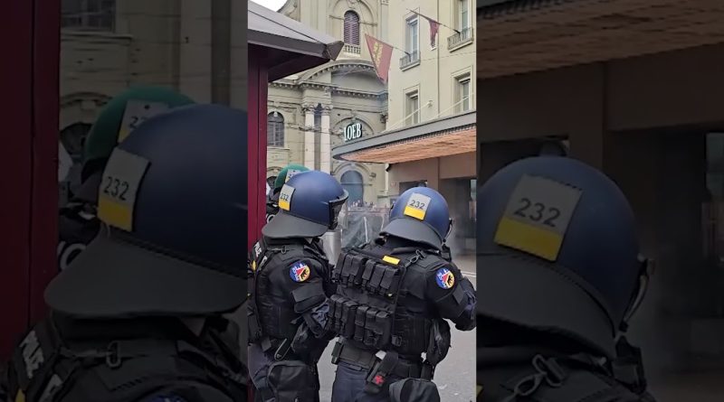 Dix-huit policiers suisses blessés lors d'une manifestation pro-Palestine