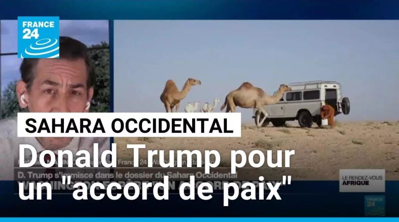 Donald Trump intervient sur la question du Sahara Occidental