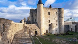 illustration agrandir l