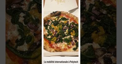 Échange international à Polytech Orléans : Lody en Italie