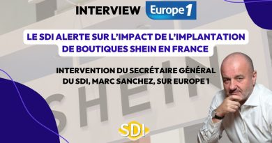 Effets des boutiques SHEIN en France sur le commerce local
