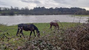 illustration agrandir l