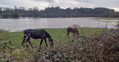 illustration agrandir l