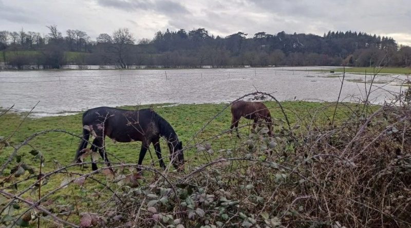 illustration agrandir l