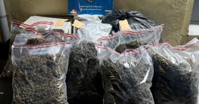 En prison pour trafic de zamal au Tampon, l’étudiante veut retourner à la fac