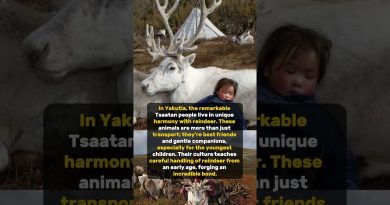 Enfants rennes en Yakoutie : humour et automobiles