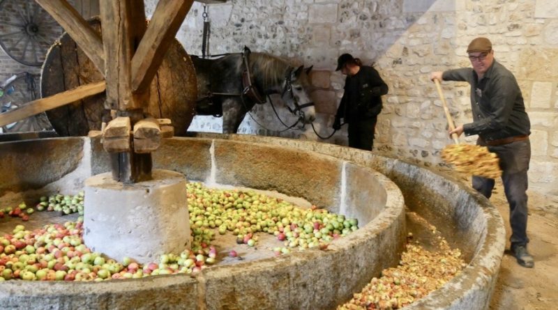 Eure. Un ancien pressoir sera remis en marche dimanche lors de cette fête de la pomme