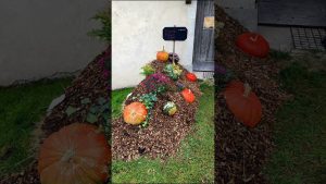 Explorez le Musée des Maisons Comtoises à Nancray 🇫🇷