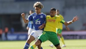 illustration agrandir l