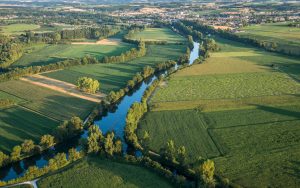 Face à des ventes en berne, le cognac envisage le recours à de l’arrachage définitif subventionné