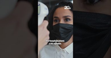 Faut-il craindre le variant Covid-19 « Frankenstein » ?