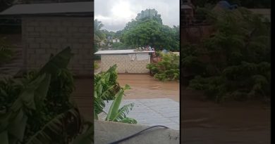 😱Fuertes Imágenes desde Álamo Veracruz ⚠️