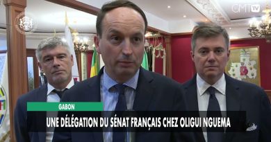 Gabon : visite d'une délégation sénatoriale chez Oligui Nguema