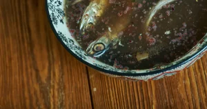 Garum : guide pratique pour réaliser la sauce salée de poissons d'Astérix et Obélix en Lusitanie