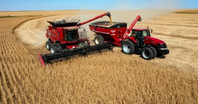 Guerre commerciale : pourquoi les États-Unis et la Chine se déchirent-ils sur le soja ?