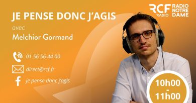 Harcèlement scolaire : sensibiliser pour mieux protéger