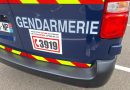 Haute-Garonne. Une fillette de deux ans attaquée par un chien : la voisine tue l'animal à coups de couteau