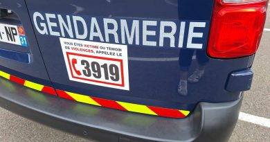 Haute-Garonne. Une fillette de deux ans attaquée par un chien : la voisine tue l'animal à coups de couteau