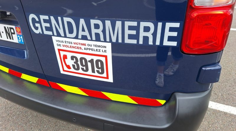 Haute-Garonne. Une fillette de deux ans attaquée par un chien : la voisine tue l'animal à coups de couteau