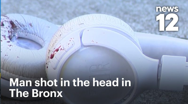 Homme tué d'une balle dans la tête dans le Bronx