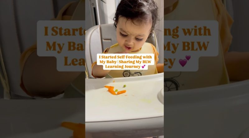How I Started Baby-Led Weaning with My 6.5 Month Old | Simple BLW Steps for New Moms