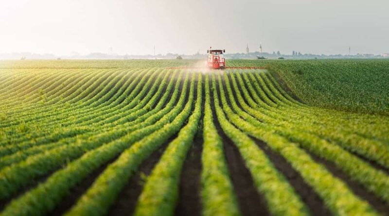 Vidéo — Rachid Benaissa affirme: l’Algérie dispose d’un savoir-faire agricole