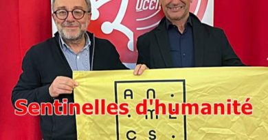 Il faut un plan Marshall pour la protection de l’enfance !