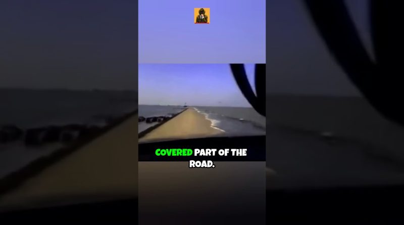 Ils ont plongé dans l'océan... et ont vite regretté !