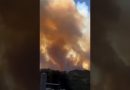 Incendie en Corse : propagation rapide des flammes