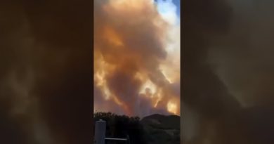 Incendie en Corse : propagation rapide des flammes