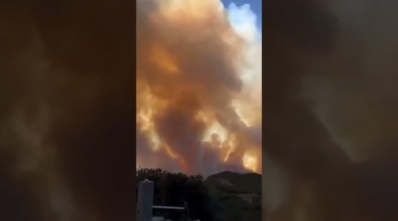 Incendie en Corse : propagation rapide des flammes
