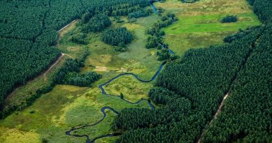 Centre-Val de Loire, Orléans, Tours, Loire river, castle, vineyard, forest, landscape