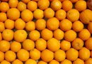 Info Tours | A Tours et Chinon, 12,5kg d’oranges pour 30€ au profit des adolescents