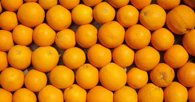 Info Tours | A Tours et Chinon, 12,5kg d’oranges pour 30€ au profit des adolescents
