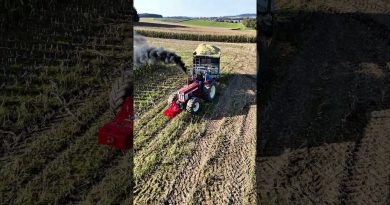 International Harvester 946 : La Révolution Agricole