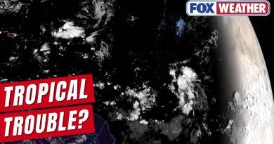 Invest 95L : Une dépression tropicale se dirige vers les Caraïbes