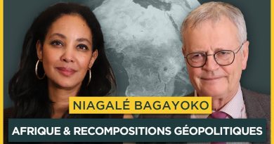 L'Afrique et les enjeux géopolitiques : entretien avec Niagalé Bagayoko
